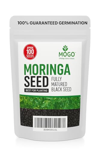 Reliable Premium Grade Moringa Seeds for Planting